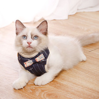 Bowknot Cat zestaw uprząż i smycz regulowana uprząż szczeniaka kot smycz ubrania kamizelka siatka nylonowa kotek kołnierz kot akcesoria 2